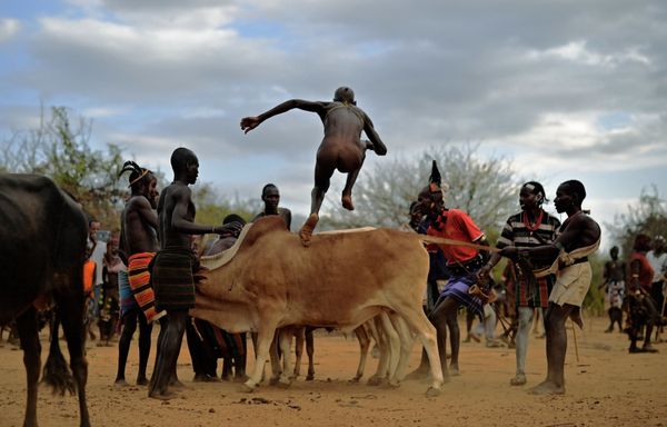 Bull in Human Culture Across the Globe  - Sputnik International