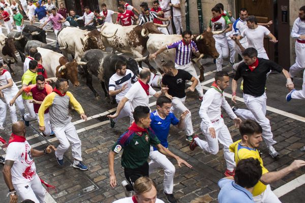 Bull in Human Culture Across the Globe  - Sputnik International