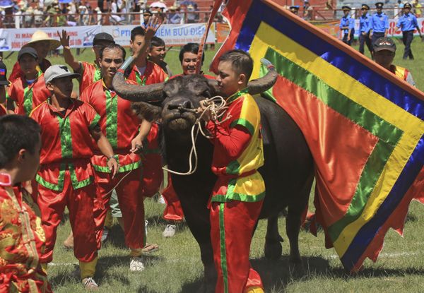 Bull in Human Culture Across the Globe  - Sputnik International