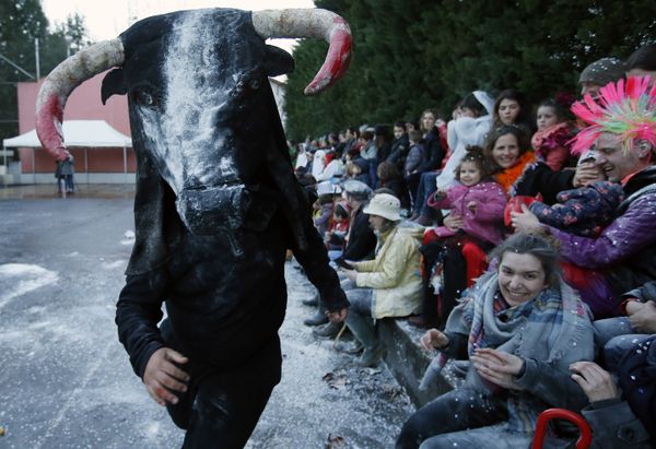 Bull in Human Culture Across the Globe  - Sputnik International