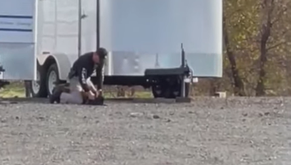 US Officer Caught on Camera Repeatedly Punching Police Dog - Sputnik International