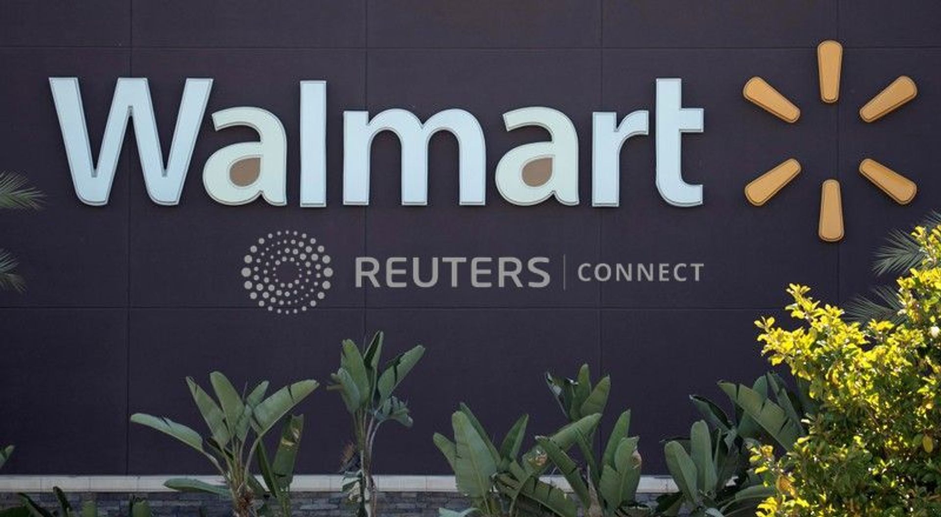 Walmart Walmart - Sputnik International, 1920, 31.12.2020