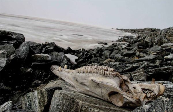 The Most Fascinating Archaeological Discoveries of 2020 - Sputnik International