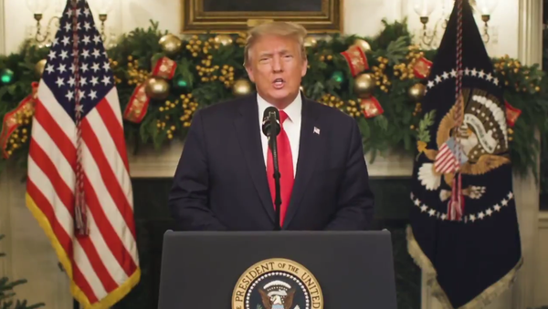 US President Donald Trump speaks from the White House about his administration's efforts to develop a COVID-19 vaccine and the state of the US economy on December 31, 2020 - Sputnik International