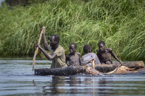 Public 'Lost Confidence' in Authorities as Floods Displace a Million People in South Sudan – Report - Sputnik International
