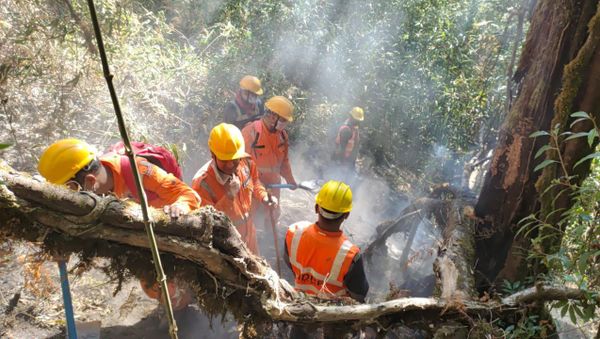 India's National Disaster Response Force dousing fire in Dzukou Valley - Sputnik International