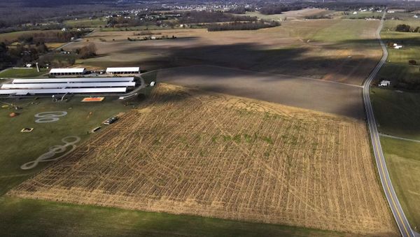 The remnants of a corn maze are seen at Winterbrook Farms after the corn was harvested, Tuesday, Nov. 10, 2020, in Thurmont, Md. This year's maze featured and honored Platoon 22, an organization serving veterans in the Maryland area.  - Sputnik International