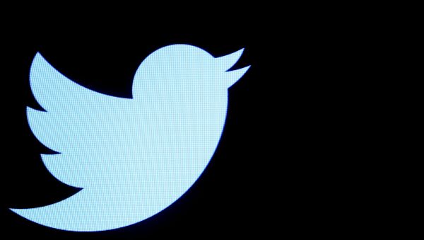 The Twitter logo is displayed on a screen on the floor of the New York Stock Exchange (NYSE) in New York City, U.S., September 28, 2016 The Twitter logo is displayed on a screen on the floor of the New York Stock Exchange (NYSE) in New York City, U.S., September 28, 2016 - Sputnik International