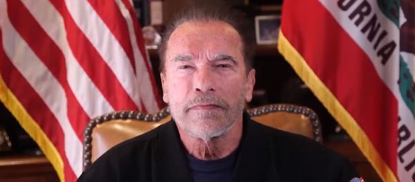 Arnold Schwarzenegger speaking on US Capitol siege on January 10, 2020 - Sputnik International