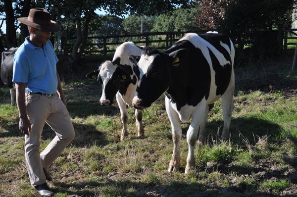 How are Things Panning Out for UK & EU Agri-Food Producers After Brexit? How are Things Panning Out for UK & EU Agri-Food Producers After Brexit? - Sputnik International