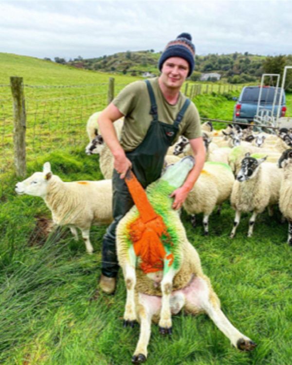 How are Things Panning Out for UK & EU Agri-Food Producers After Brexit? How are Things Panning Out for UK & EU Agri-Food Producers After Brexit? - Sputnik International
