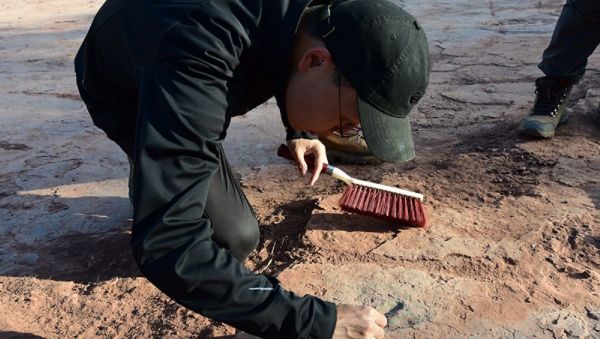 Scientists study dinosaur footprints - Sputnik International