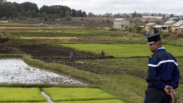 A police officer in a French-style uniform watches over rice fields in Madagascar - Sputnik International