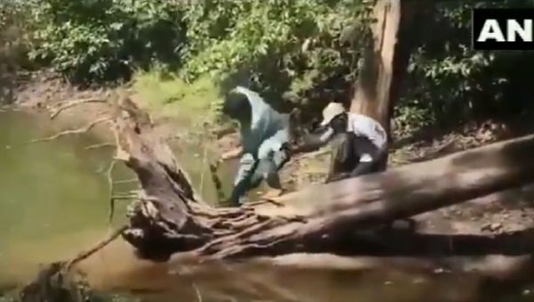 A reptile expert narrowly escapes being bitten by a Cobra snake while trying to catch the animal - Sputnik International