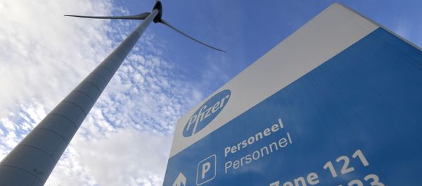 This photograph taken on December 22, 2020 in Puurs shows the logo of US multinational pharmaceutical company Pfizer on the entrance sign of the production site of the Covid-19 vaccine that was given the European Union's green light the day before, paving the way for vaccinations to finally start in the 27-nation bloc on December 27 This photograph taken on December 22, 2020 in Puurs shows the logo of US multinational pharmaceutical company Pfizer on the entrance sign of the production site of the Covid-19 vaccine that was given the European Union's green light the day before, paving the way for vaccinations to finally start in the 27-nation bloc on December 27 - Sputnik International