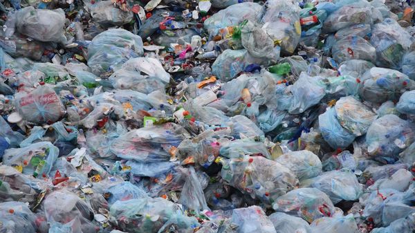 Plastic garbage - Sputnik International