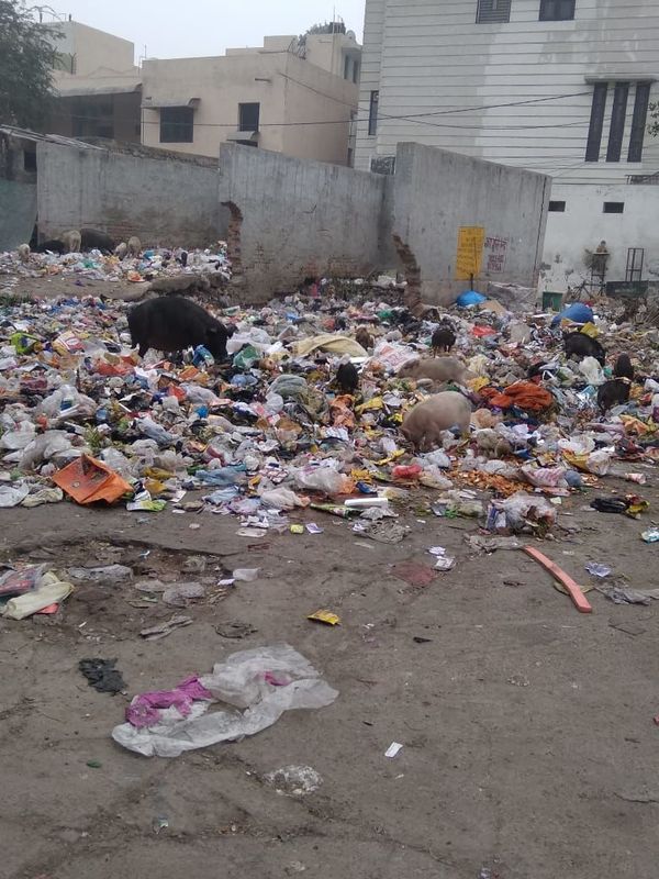 Delhi Residents Fear Health & Sanitation Crisis as Civic Body Workers Dump Garbage in COVID-Hit City - Sputnik International