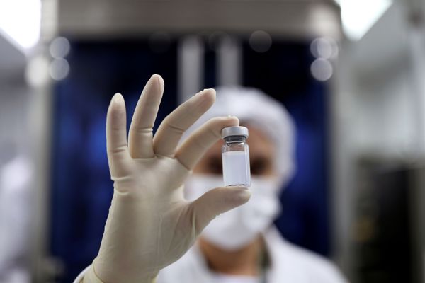People Carrying Two Different COVID-19 Strains Simultaneously Detected in Brazil, Reports Say - Sputnik International