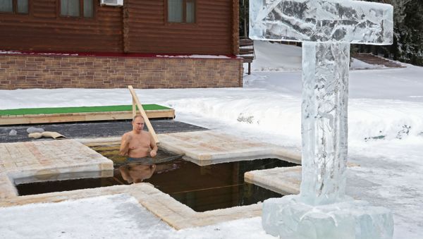 Russian President Vladimir Putin takes a dip during celebrations of the Orthodox Christian feast of Epiphany in Moscow region, Russia  - Sputnik International