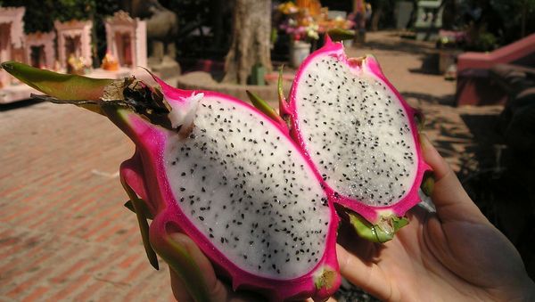 Dragon Fruit - Sputnik International
