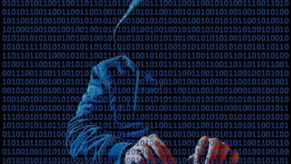  Hooded hacker at keyboard with binary code in front - Sputnik International