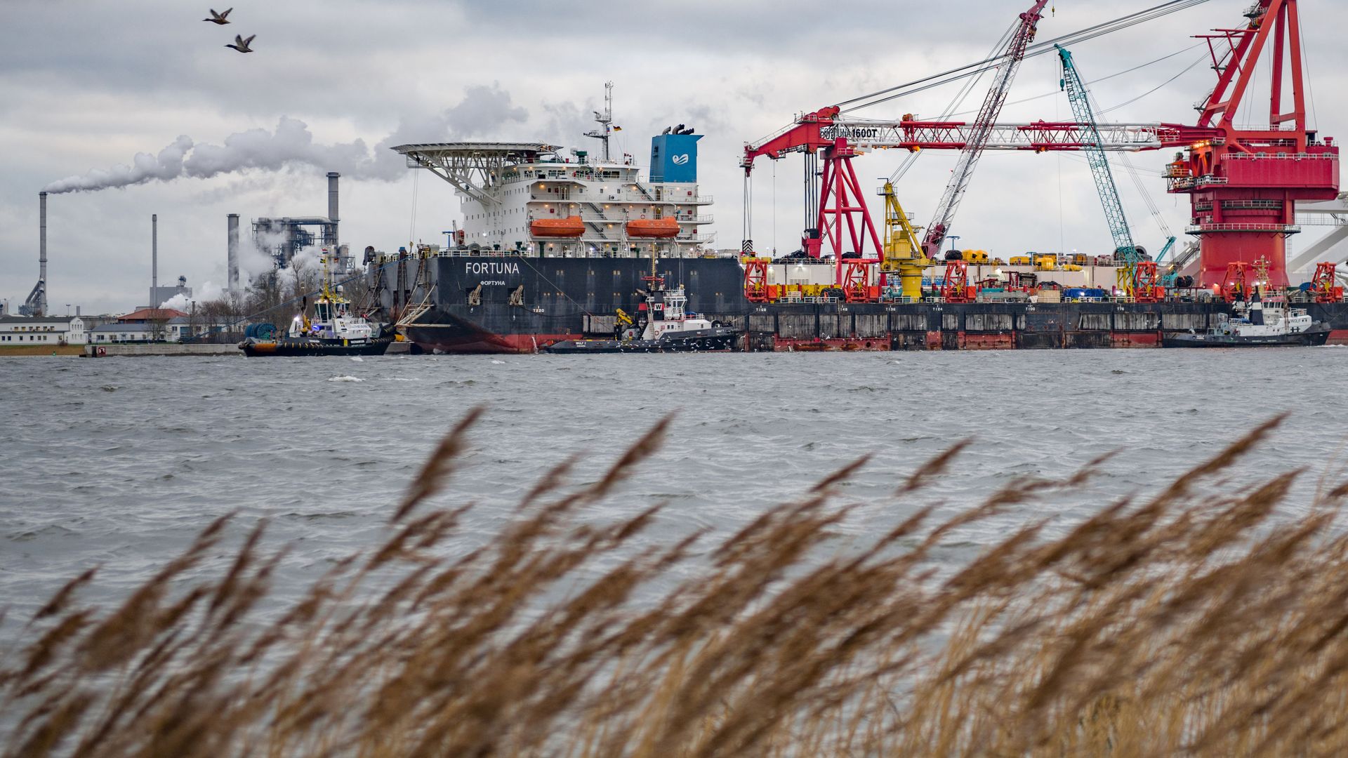 Pipe-laying vessel Fortuna in the port of the German city of Wismar. Gazprom plans to resume the construction of Nord Stream 2 in Danish waters Pipe-laying vessel Fortuna in the port of the German city of Wismar. Gazprom plans to resume the construction of Nord Stream 2 in Danish waters - Sputnik International, 1920, 10.03.2021