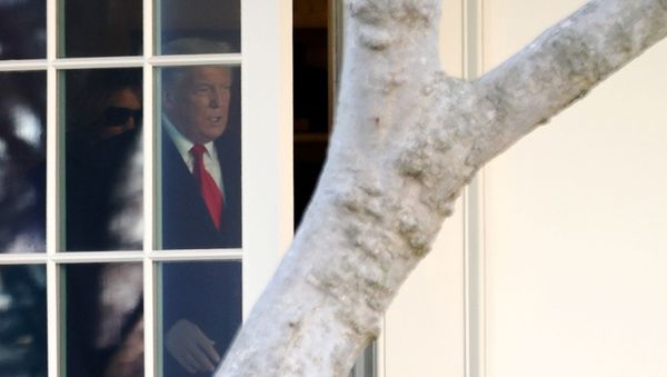 U.S. President Donald Trump and first lady Melania Trump depart for holiday travel to Florida from the White House in Washington, U.S. December 23, 2020. - Sputnik International