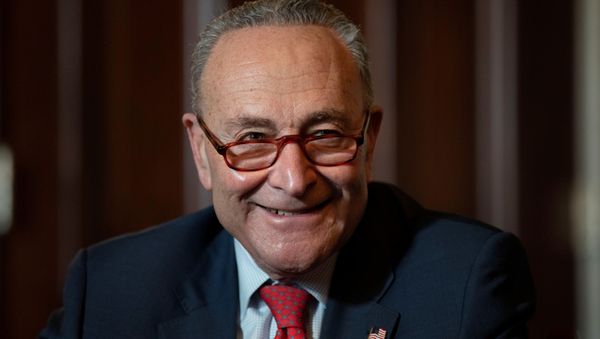 Senate Minority Leader Chuck Schumer (D-NY) listens as he meets virtually with retired U.S. General Lloyd Austin, nominated by President-elect Joe Biden to be his Secretary of Defense, at the Capitol in Washington, U.S., December 15, 2020. - Sputnik International