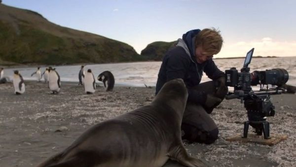 Man films wildlife - Sputnik International