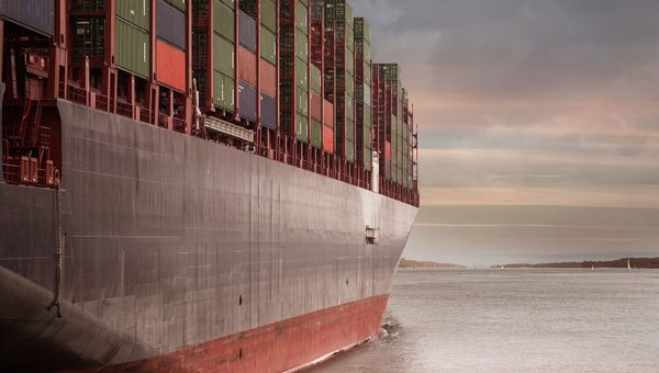 Container carrier - Sputnik International