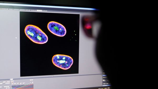 Researchers work at the Institute for Stem Cell and Regeneration of CAS in Beijing - Sputnik International