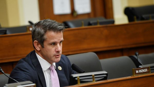Rep. Adam Kinzinger - Sputnik International