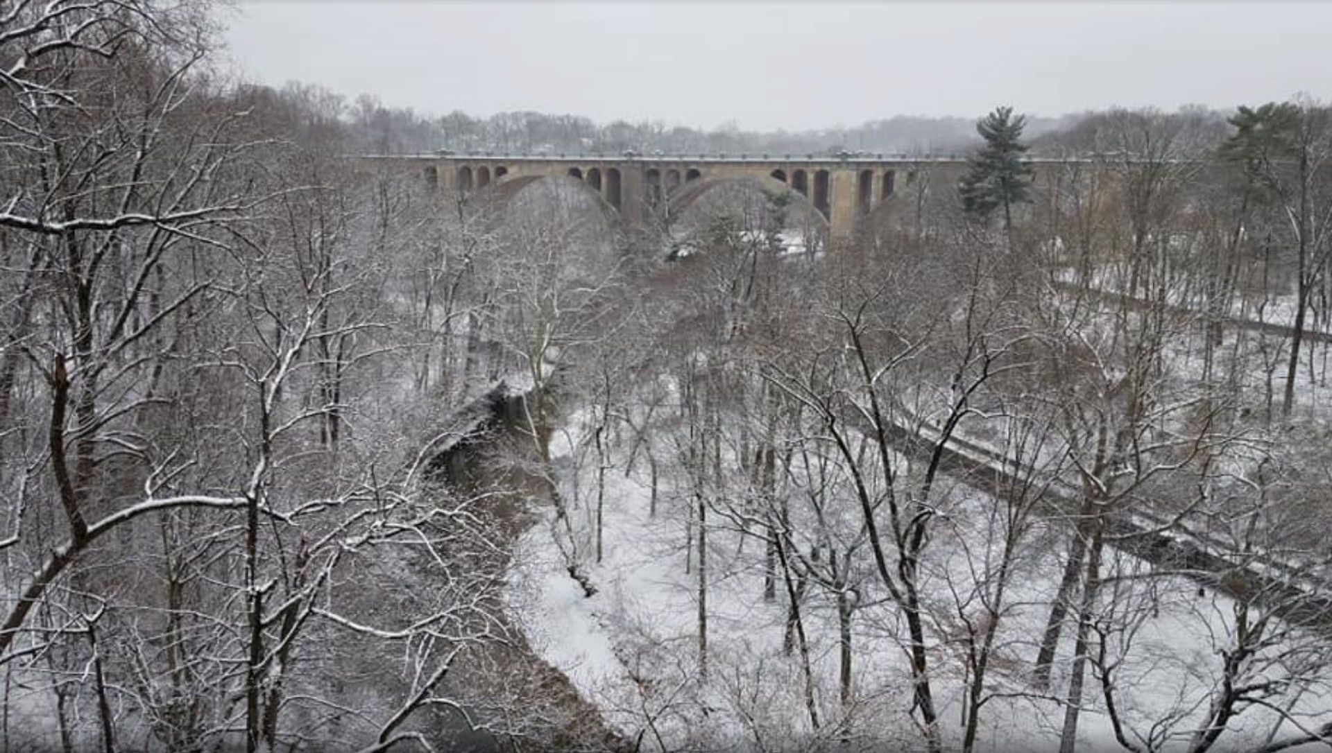 Image of the Taft Bridge in Washington, DC, captures snow-covered greenery in Rock Creek Park as a massive snowstorm envelops much of the US East Coast. - Sputnik International, 1920, 02.02.2021