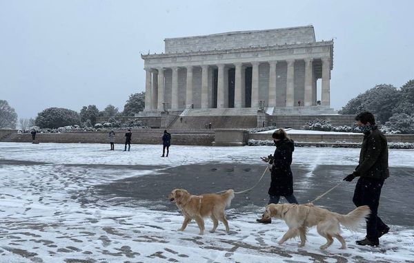 Powerful Snowstorm Slams US East Coast - Sputnik International