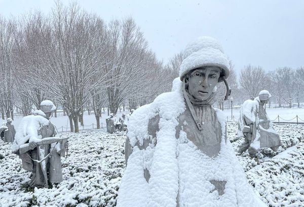 Powerful Snowstorm Slams US East Coast - Sputnik International