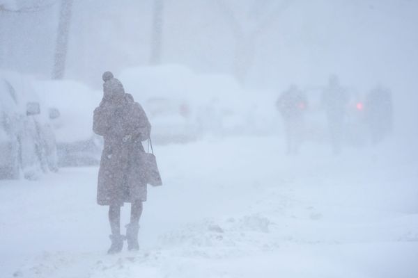 Powerful Snowstorm Slams US East Coast - Sputnik International
