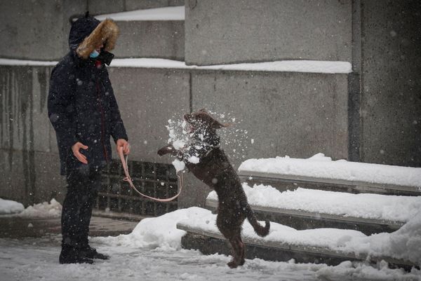 Powerful Snowstorm Slams US East Coast - Sputnik International