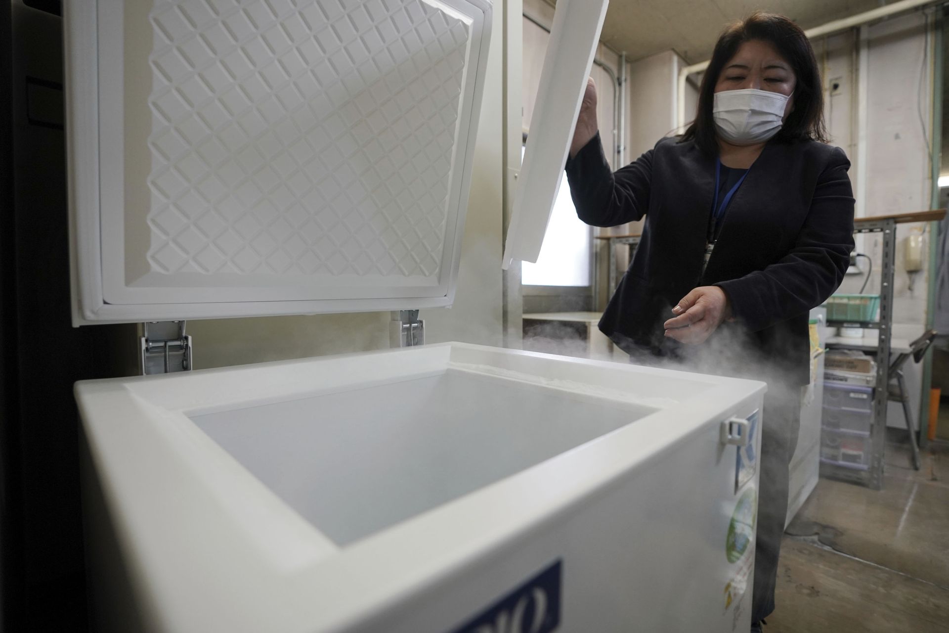 ‘We Will Hold the Games’: Tokyo Organizer Vows to Host Olympic Tournament ‘No Matter What’ - Sputnik International, 1920, 02.02.2021