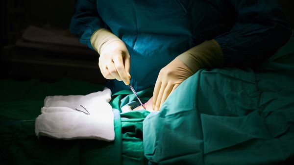 Surgery - Sputnik International