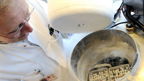 A technician opens a vessel containing women's frozen egg cells on April 6, 2011 in Amserdam. From today onwards it will be possible for women to have their ova, or egg cells, frozen in the Netherlands. Freezing can be done for medical reasons, for example in case a woman is suffering from cancer, but is also for women who want to have a child but have not got a partner yet. - Sputnik International