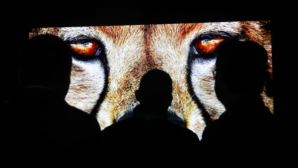 In this Jan. 8, 2020, file photo, people look at a display at the CES tech show in Las Vegas. U.S. senators are scrutinizing a facial recognition software company over privacy concerns and the possible sale of its services to authoritarian regimes. - Sputnik International