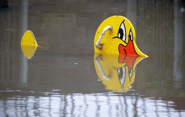 Rhine River Flooding Disrupts Traffic in Germany  - Sputnik International