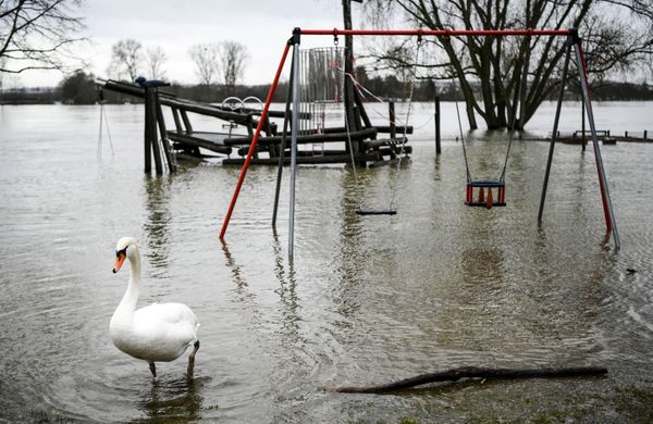 Rhine River Flooding Disrupts Traffic in Germany  - Sputnik International