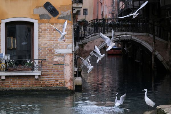 Empty Spaces and Abandoned Places: Venice Deserted as Traditional Carnival Held Without Tourists - Sputnik International