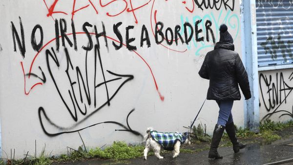 A woman walks her dog past past graffiti with the words 'No Irish Sea Border' in Belfast city centre, Northern Ireland, Wednesday, Feb. 3, 2021 A woman walks her dog past past graffiti with the words 'No Irish Sea Border' in Belfast city centre, Northern Ireland, Wednesday, Feb. 3, 2021 - Sputnik International