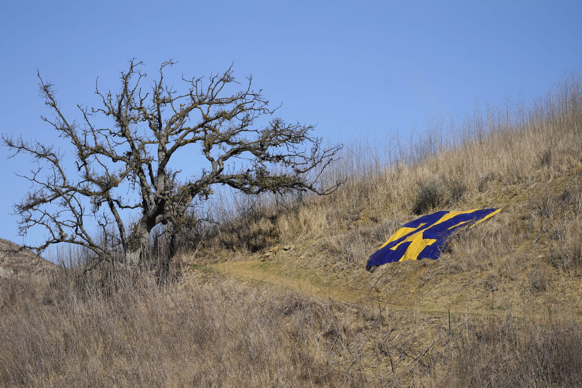 Kobe Bryant Crash Caused by Pilot’s ‘Spatial Disorientation’ After Violating Flight Rules, NTSB Says Kobe Bryant Crash Caused by Pilot’s ‘Spatial Disorientation’ After Violating Flight Rules, NTSB Says - Sputnik International, 1920, 09.02.2021