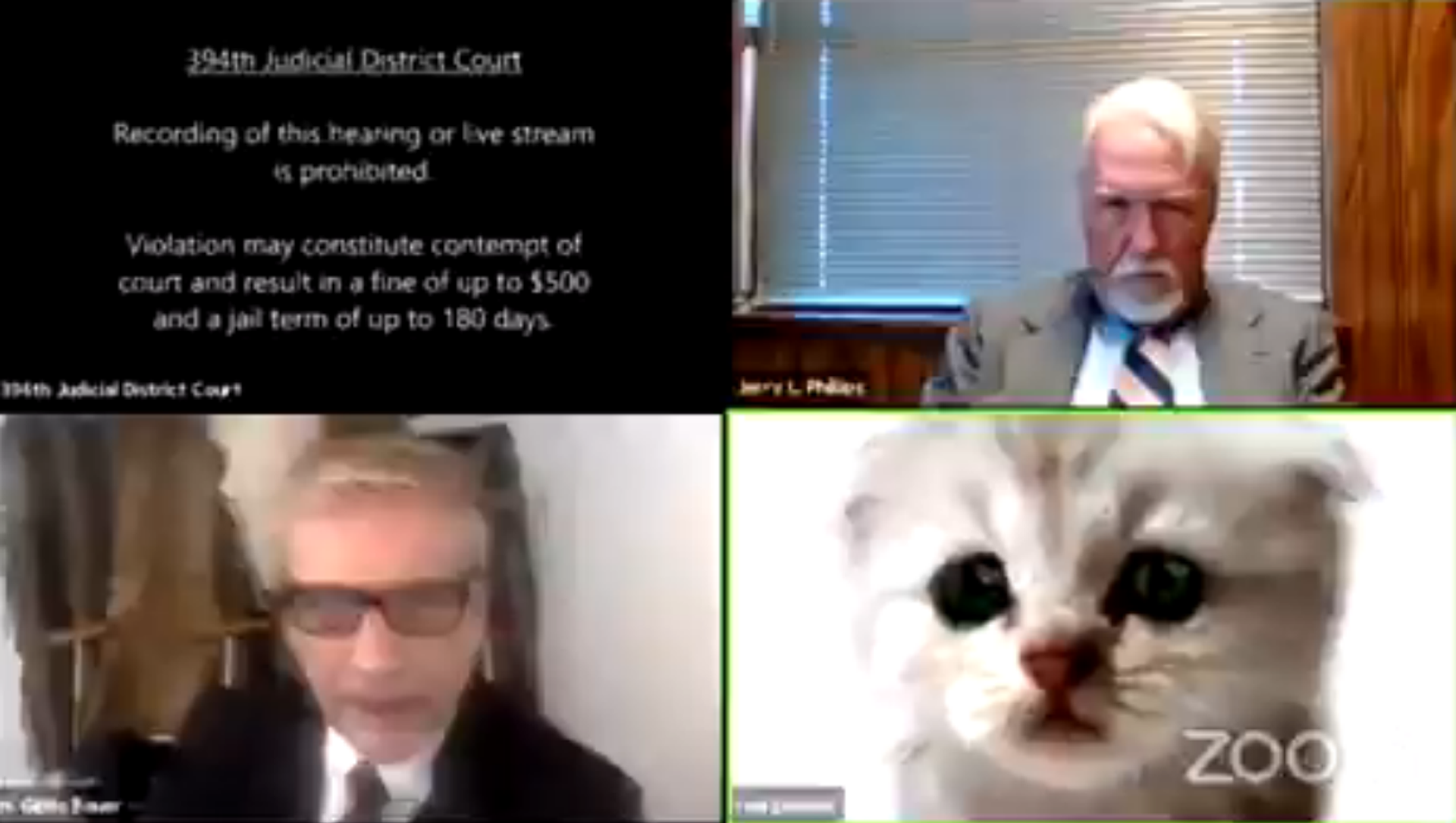 Attorney Rod Ponton appeared as a kitten during a court hearing Attorney Rod Ponton appeared as a kitten during a court hearing - Sputnik International, 1920, 09.02.2021
