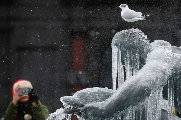 Frozen! Temperature Anomalies in Different Countries Frozen! Temperature Anomalies in Different Countries - Sputnik International