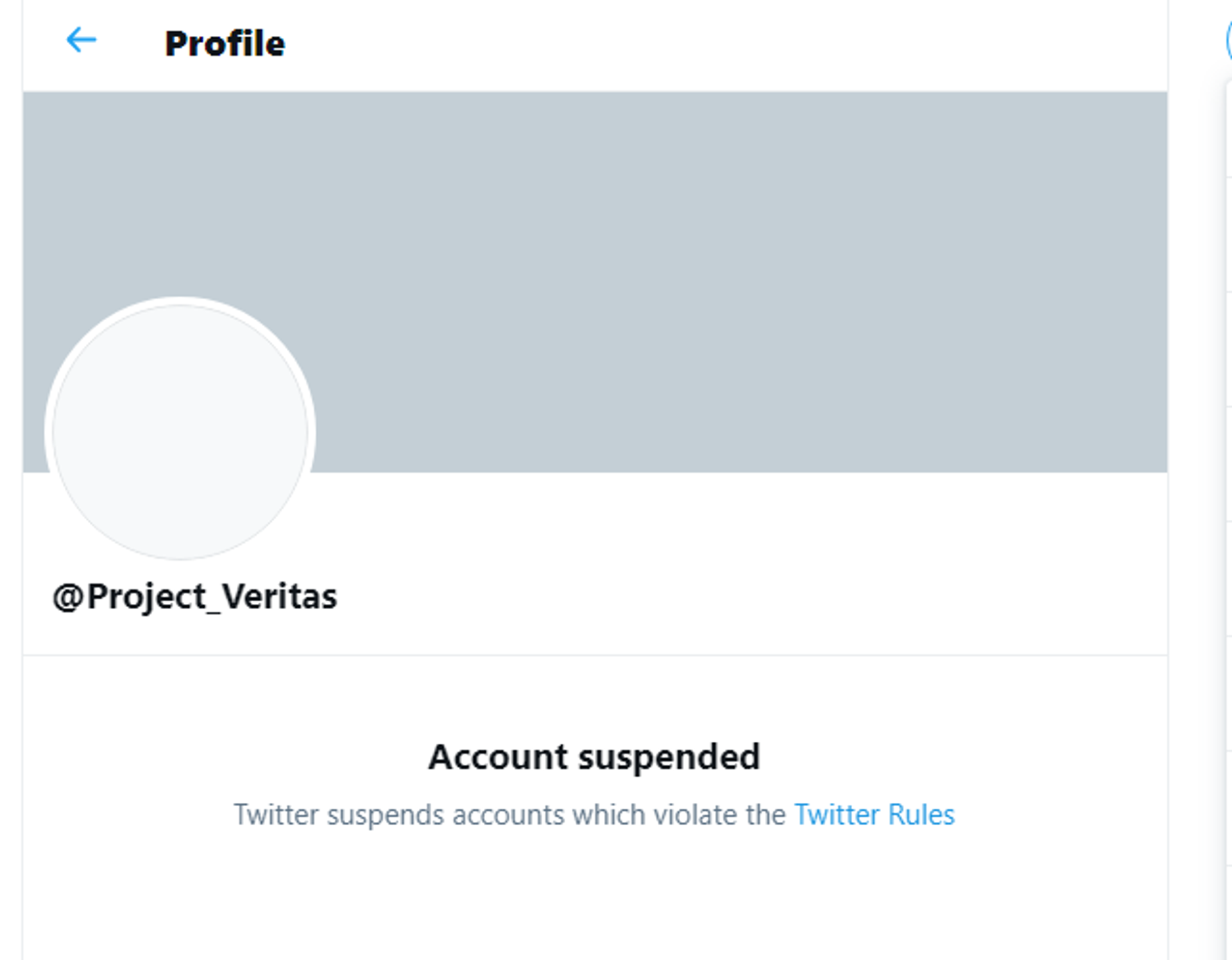 Twitter Suspends Project Veritas Account For 'Violation of Rules' Twitter Suspends Project Veritas Account For 'Violation of Rules' - Sputnik International, 1920, 11.02.2021