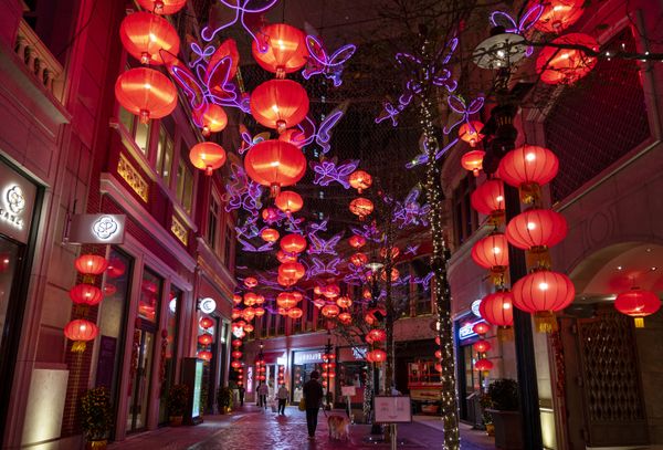 Celebration of Lunar New Year Across the World - Sputnik International